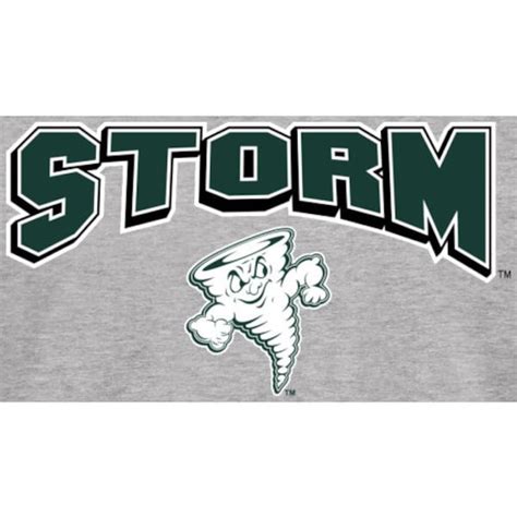 Lake Erie College Storm Proud Mascot Long Sleeve T-Shirt - Ash ...