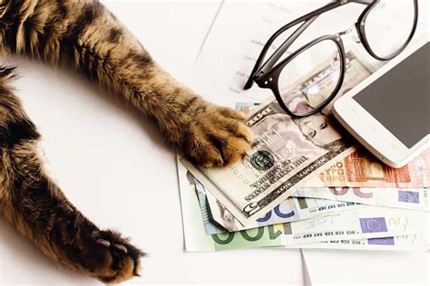 6 Pet Related Tax Deductions You May Be Eligible To Claim