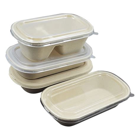 Disposable Biodegradable Sugarcane Bagasse Molded Pulp Paper Food