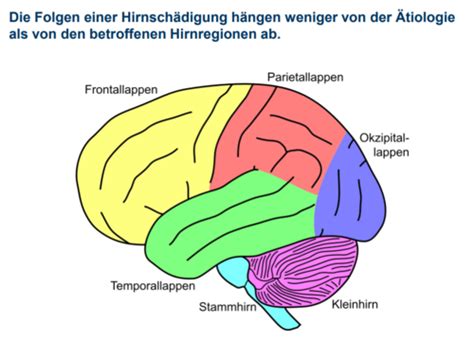 8 Neuropsychologische Psychotherapie Karteikarten Quizlet