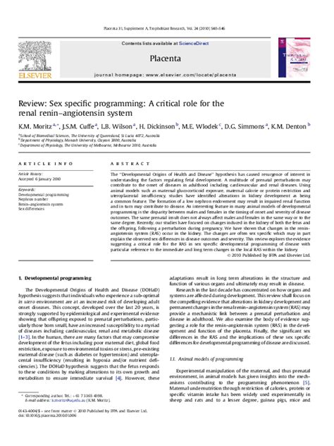 Pdf Review Sex Specific Programming A Critical Role For The Renal