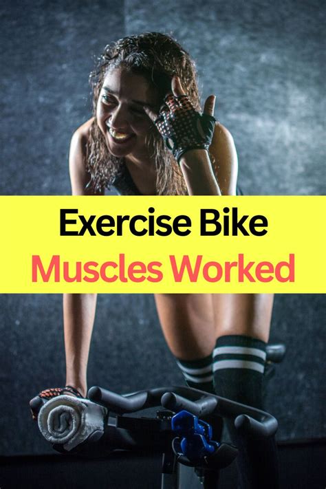 Exercise Bike Muscles Worked: The Complete Guide | Biking workout ...