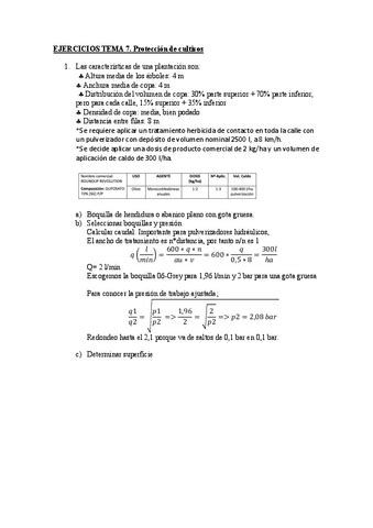 Ejercicios Tema 7 Pdf