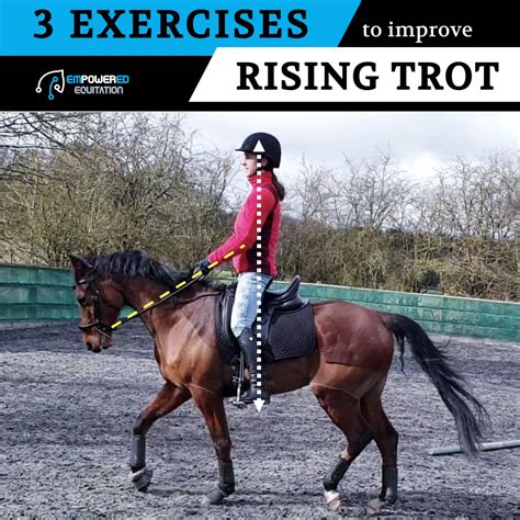 3 Exercises Guaranteed To Improve Your Rising Trot Empowered Equitation