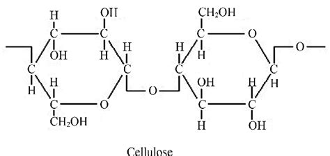 Cellulose Journal