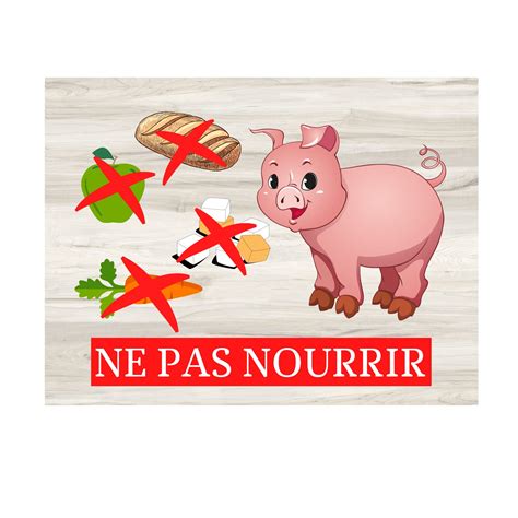 Plaque Ne Pas Nourrir Les Animaux Mod Le Cochon En M Tal Aluminium