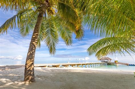 Côte De La Plage Tropicale Maldives Sentier Du Pont Vers Une île