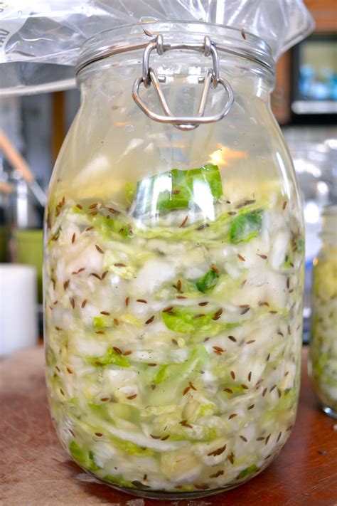 Make Your Own Fermented Sauerkraut Recipe Fermented Sauerkraut Hot Sex Picture