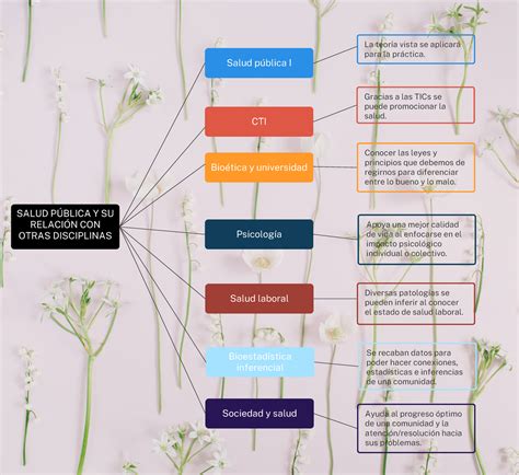 Mapa Conceptual SALUD PÚBLICA Y SU RELACIÓN CON OTRAS DISCIPLINAS