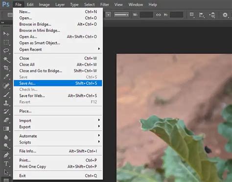 How To Open Webp In Photoshop Reveal That