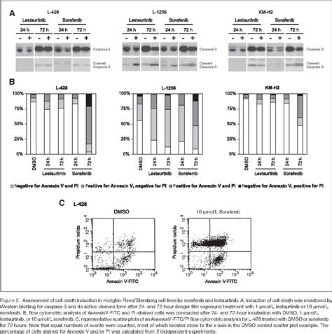 Figure From Induction Of Endoplasmic Reticulum Stress By Sorafenib