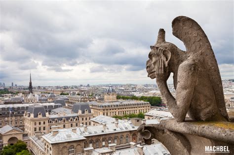 La misteriosa galería de las quimeras o gárgolas de Notre Dame París