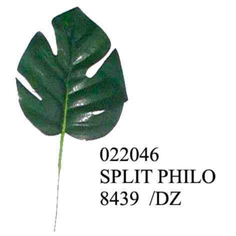 split leaf philodendron leaves cash carry