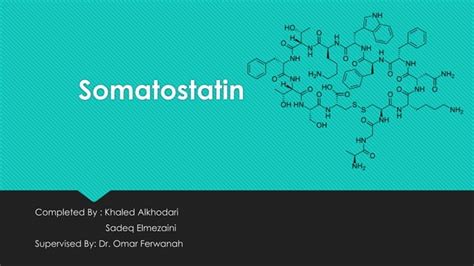 Somatostatin PPT