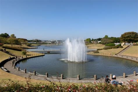 Hitachi Seaside Park | Travel Information