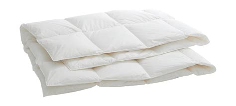 Billerbeck Edition Duvet Gonzen Acheter En Ligne Manor