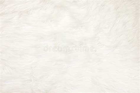 35,658 White Fur Texture Stock Photos - Free & Royalty-Free Stock ...