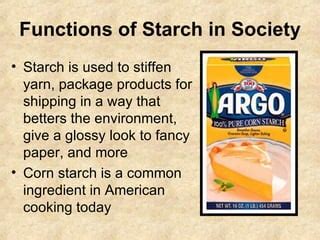 Starch Pp | PPT