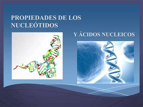 Propiedades De Los Cidos Nucleicos Ppt