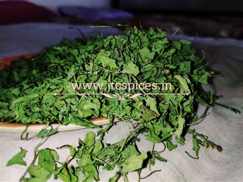 Spicy Kasoori Methi Fenugreek Leaves Packaging Size 100g At Rs 230 Kg