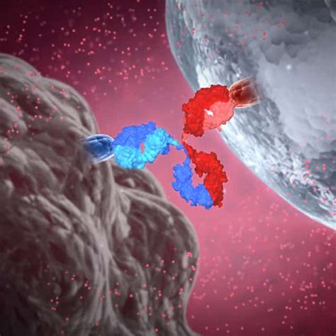 Bispecific Antibody - Chugai Pharmabody Research