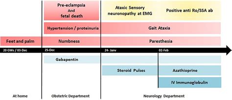 Frontiers Ataxic Sensory Neuronopathy With Isolated Anti Ro Ss A Antibody During Pregnancy A