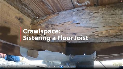 How To Repair Floor Joist Termite Damage Floor Roma