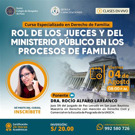 Quilla Curso Especializado En Derecho De Familia ROL DE LOS JUECES Y