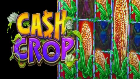 Big Wins On Cash Crop Lock It Link Slot Machine YouTube