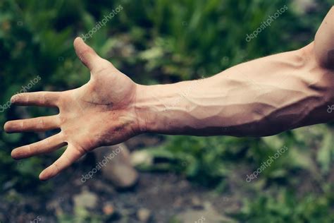 Muscular hand with veins Stock Photo by ©Tverdohlib.com 110100666