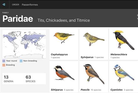 New Feature Bird Families Of The World Birds Of The World