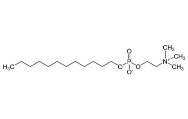 CAS No 29557 51 5 Product Name Dodecylphosphocholine