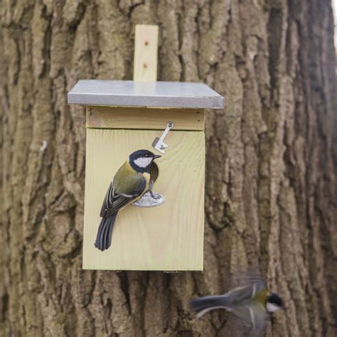 Koolmees Nestkast Tuincentrum Drint