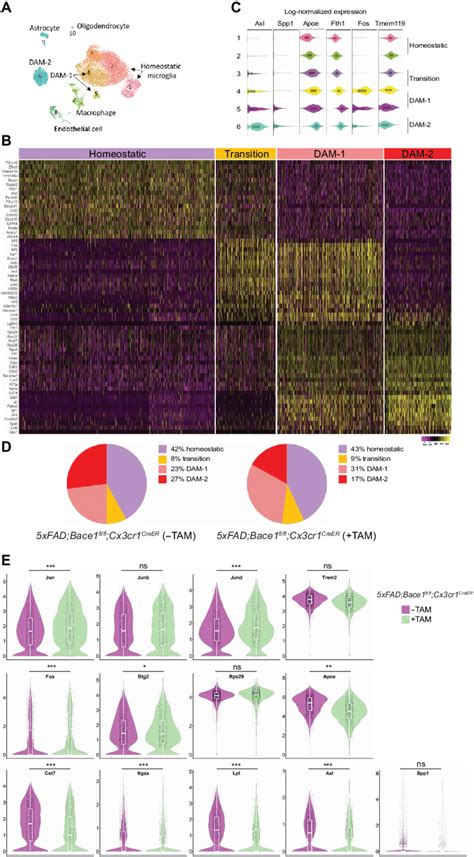 Bace 1 Deletion Facilitates Microglial Transition From A Homeostatic To