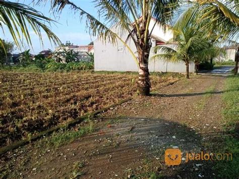 100 Meter Jalan Raya Cifor Kavling Perumahan Dramaga Di Kab Bogor