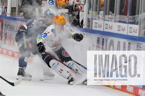 Penny DEL Ice Hockey Season 2021 22 ERC Ingolstadt Fischtown Pinguins