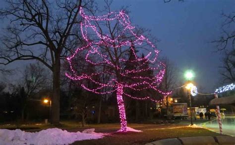 Christmas Tree LED Lights – Tree Pictures BLog