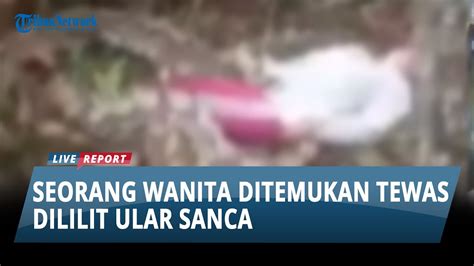 Ditemukan Sudah Terbujur Kaku Wanita Di Muba Pergi Menyadap Karet