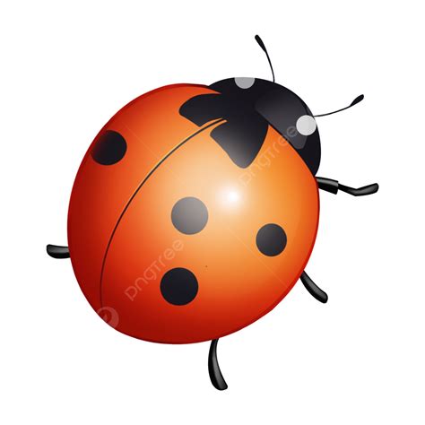 봄 일러스트 곤충 무당벌레 봄 Insect Ladybug Png 일러스트 및 Psd 이미지 무료 다운로드 Pngtree