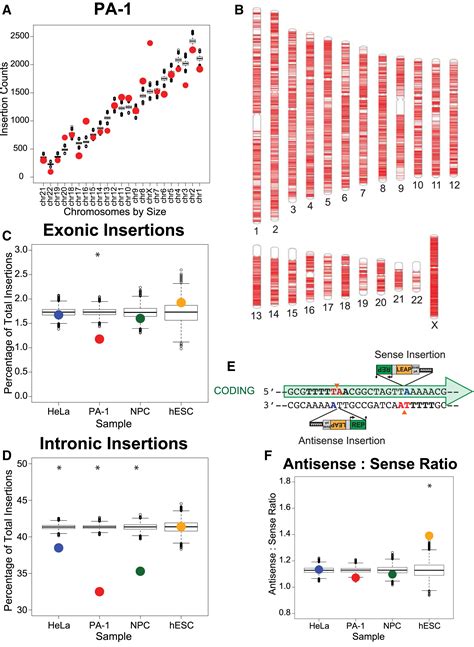 Genome Wide De Novo L1 Retrotransposition Connects Endonuclease