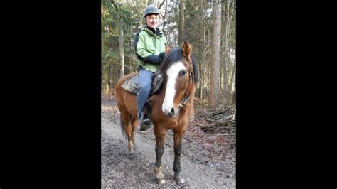 Верхом на лошади. Верхом на лошади. - YouTube