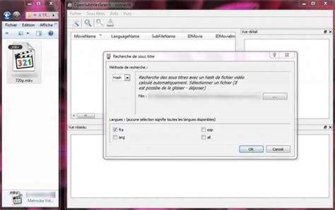 Opensubtitlessearch Trouver Les Bons Sous Titres Dune Vidéo