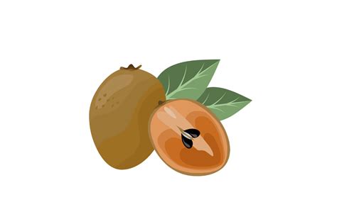 Sapodilla Fruta Entera Y Media Rebanada Aislada Sobre Fondo