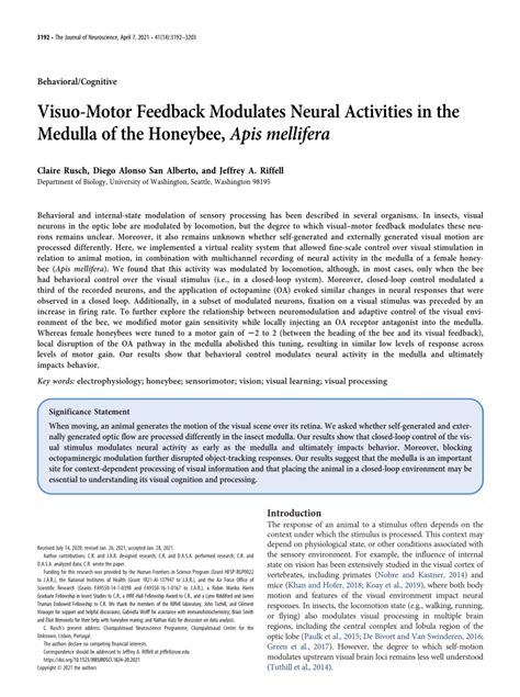 PDF Visuo Motor Feedback Modulates Neural Activities In The Medulla