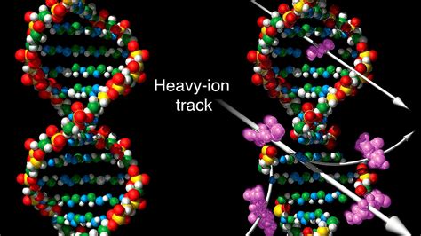 Photon Beam Radiation Therapy - Photo Choices