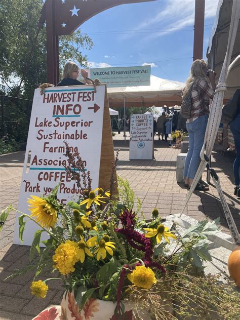 Duluth Harvest Festival 2024 Ursa Alexine