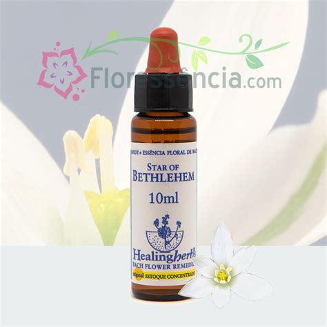 Star Of Bethlehem 10 Ml