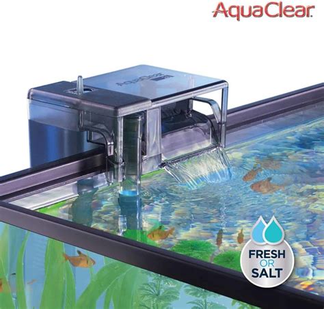 How To Increase Oxygen In Your Fish Tank 13 Helpful Tips