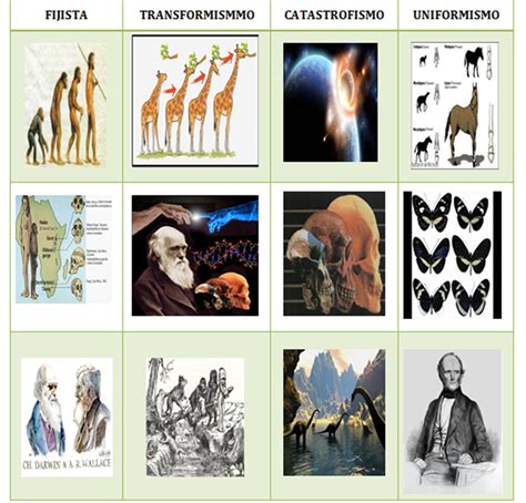 La Teoría Actual De La Evolución The Evolution Of Bacteria Does Sex