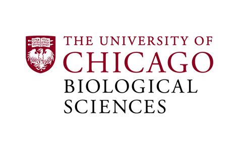 University of Chicago, Leukemia & Lymphoma Society partner on data ...